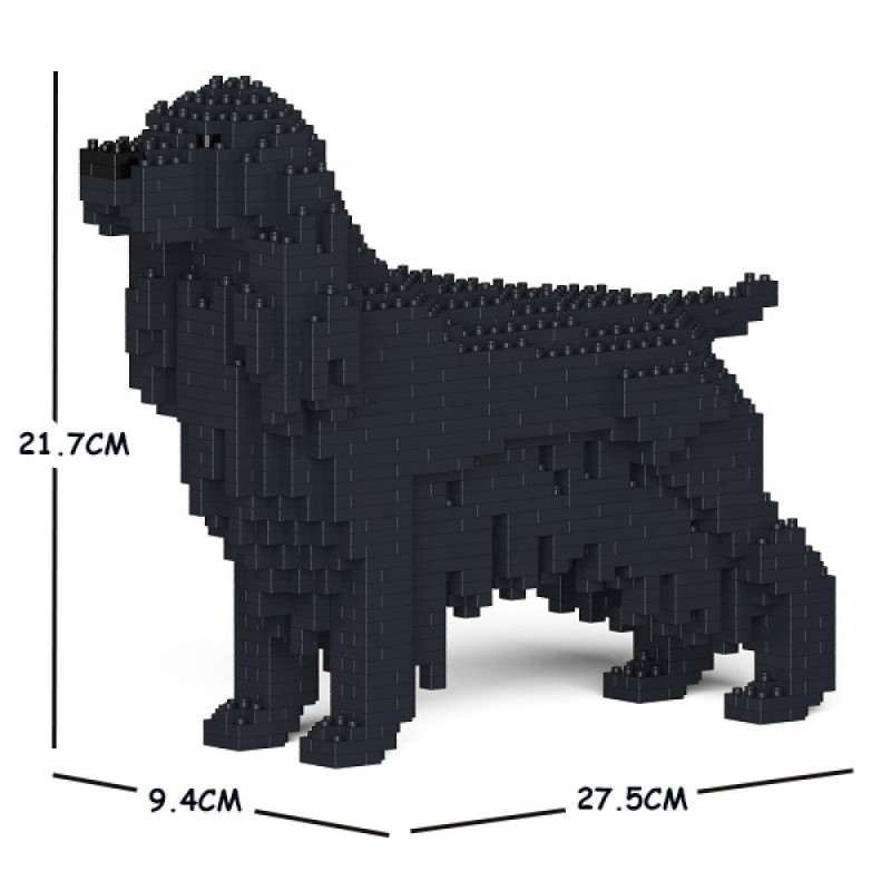 Black Cocker Spaniel Dog