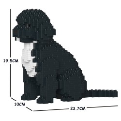 Black Cockapoo dog