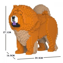 Ginger male Chow Chow dog