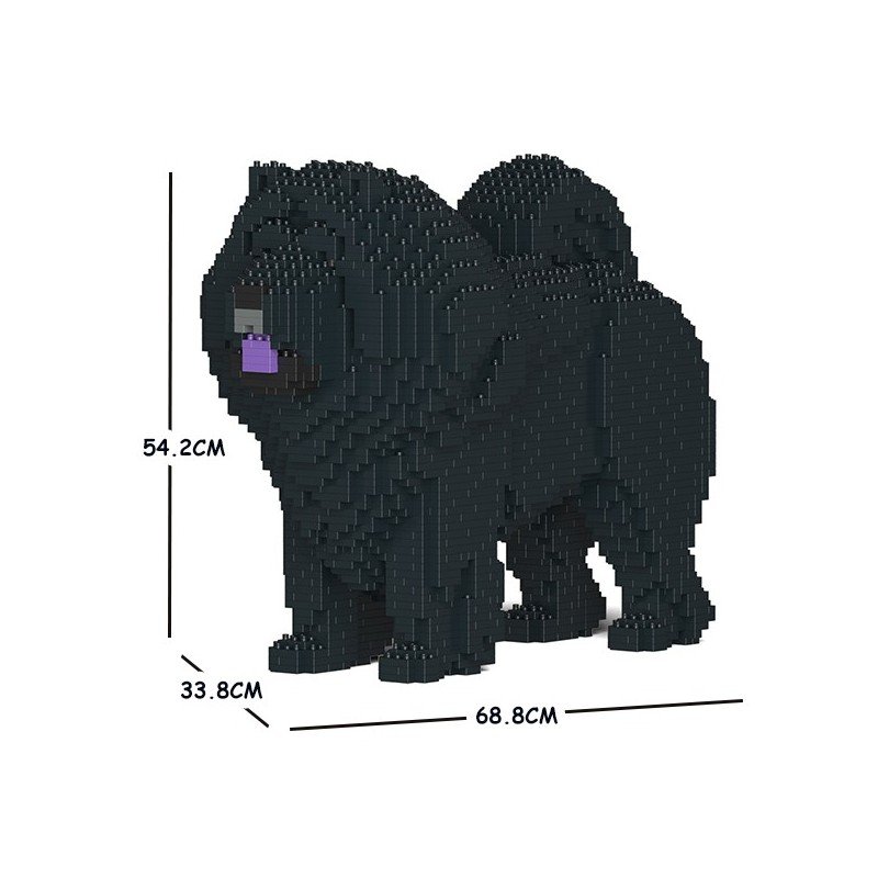 Chien Chow Chow mâle noir