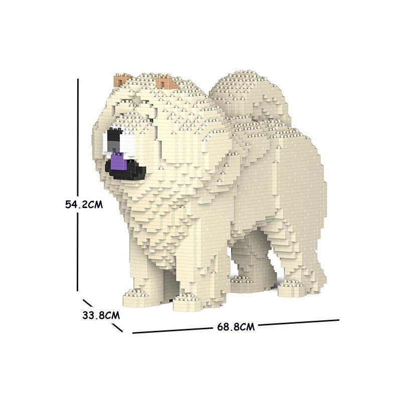 Chien Chow Chow mâle crème
