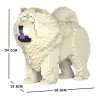 Chien Chow Chow mâle crème