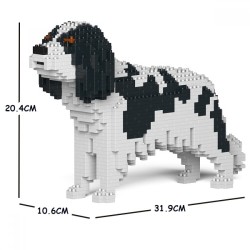 Cavalier King Charles Spaniel dog black spots