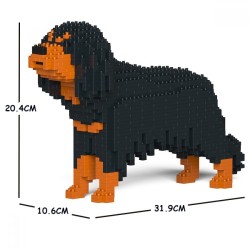 Black and tan Cavalier King Charles Spaniel dog