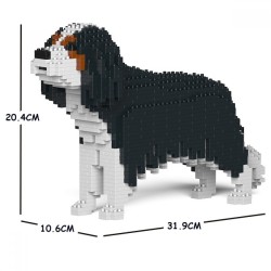 Black Cavalier King Charles Spaniel dog