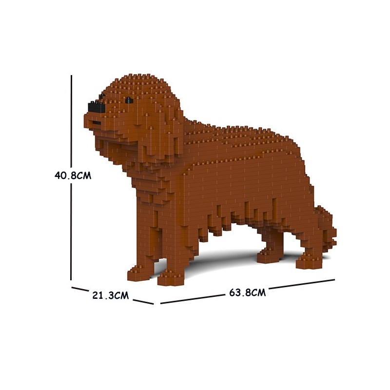 Chien Cavalier King Charles Spaniel marron