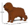 Chien Cavalier King Charles Spaniel marron