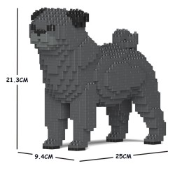 Gray pug dog