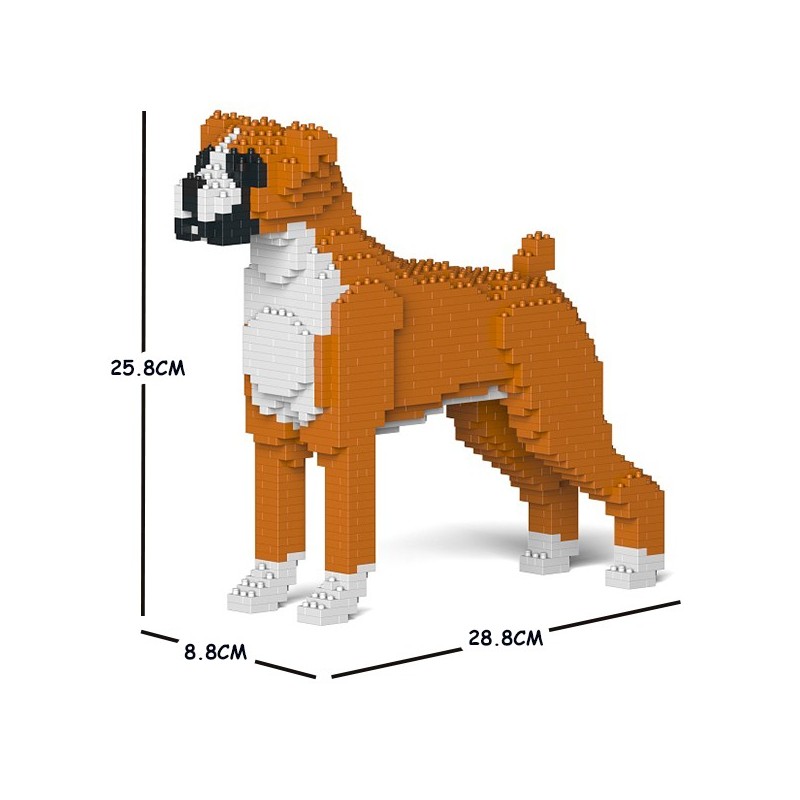 Chien Boxer roux