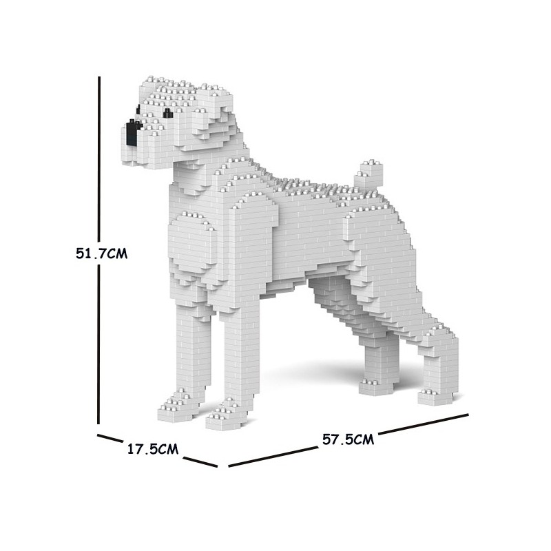 Chien Boxer blanc