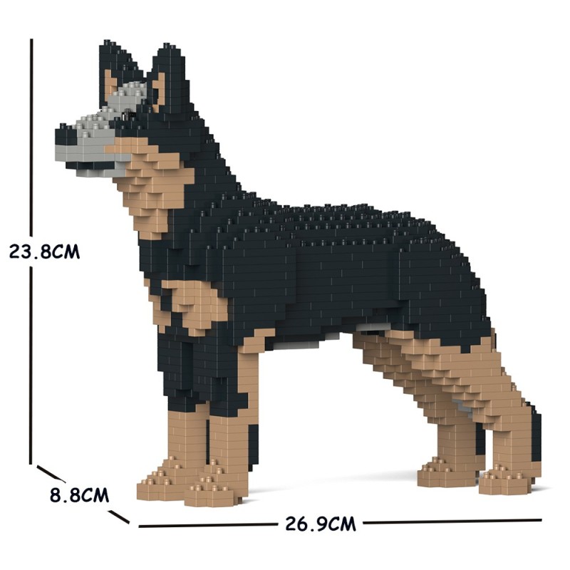 Australian Cattle Dog