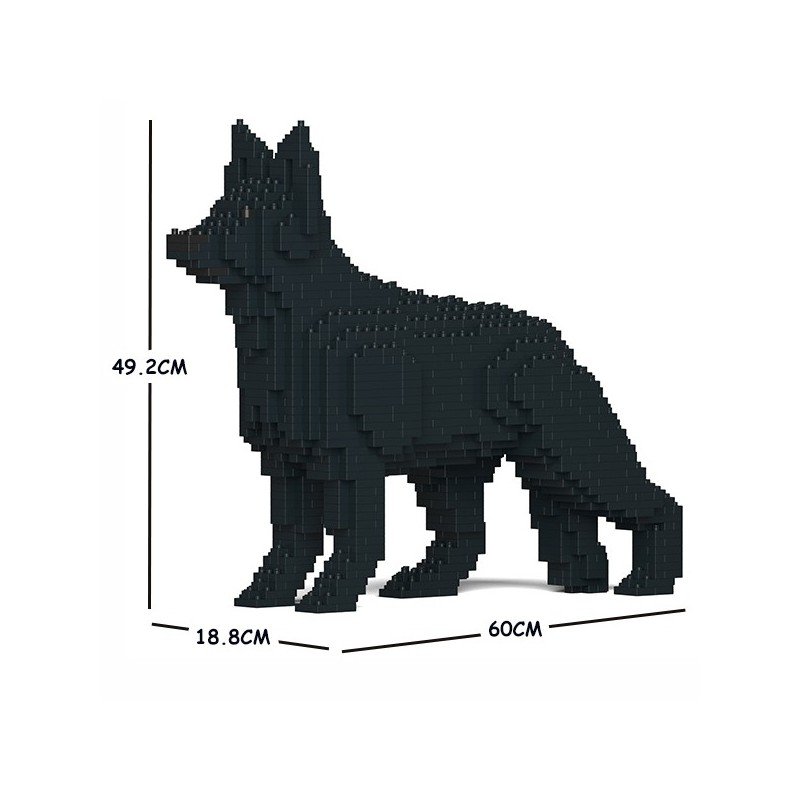 Chien Berger Allemand noir