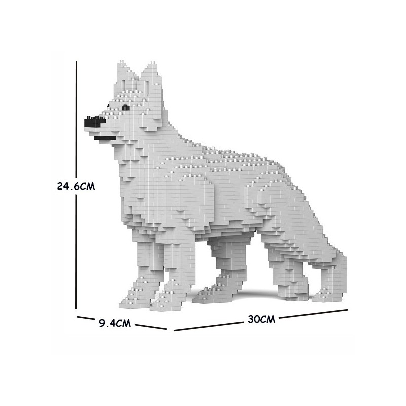 Chien Berger Allemand blanc