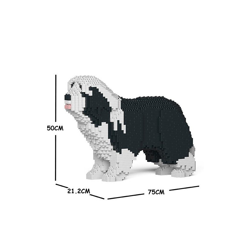 Chien Bearded Collie noir