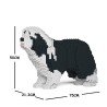 Chien Bearded Collie noir