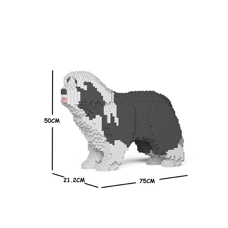 Chien Bearded Collie gris foncé