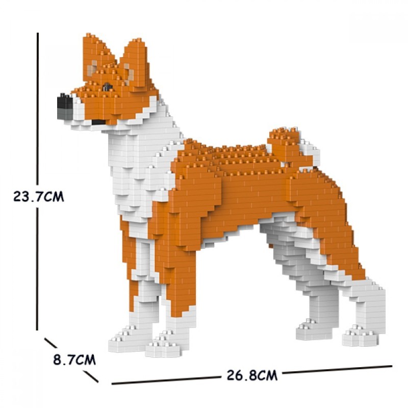 Ginger Basenji dog