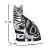 Chat American Shorthair