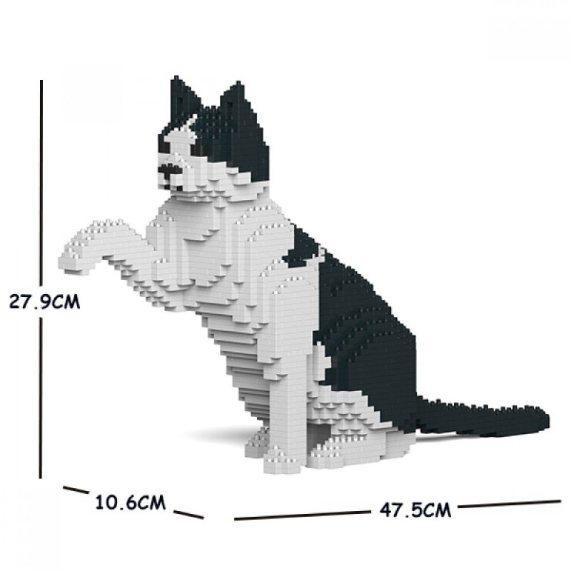 Black Calico Cat