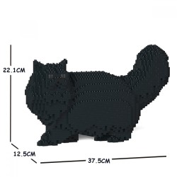 Black persian cat