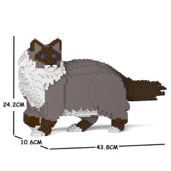 Dark Gray Ragdoll Cat