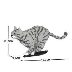 Chat Tigré gris clair