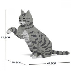 Chat Tigré gris clair