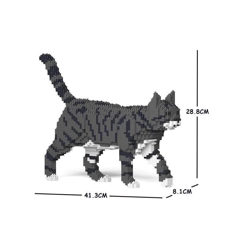 Dark Gray Tabby Cat