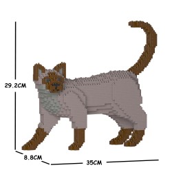 Gray Tonkinese Cat