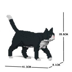 Black Tuxedo Cat