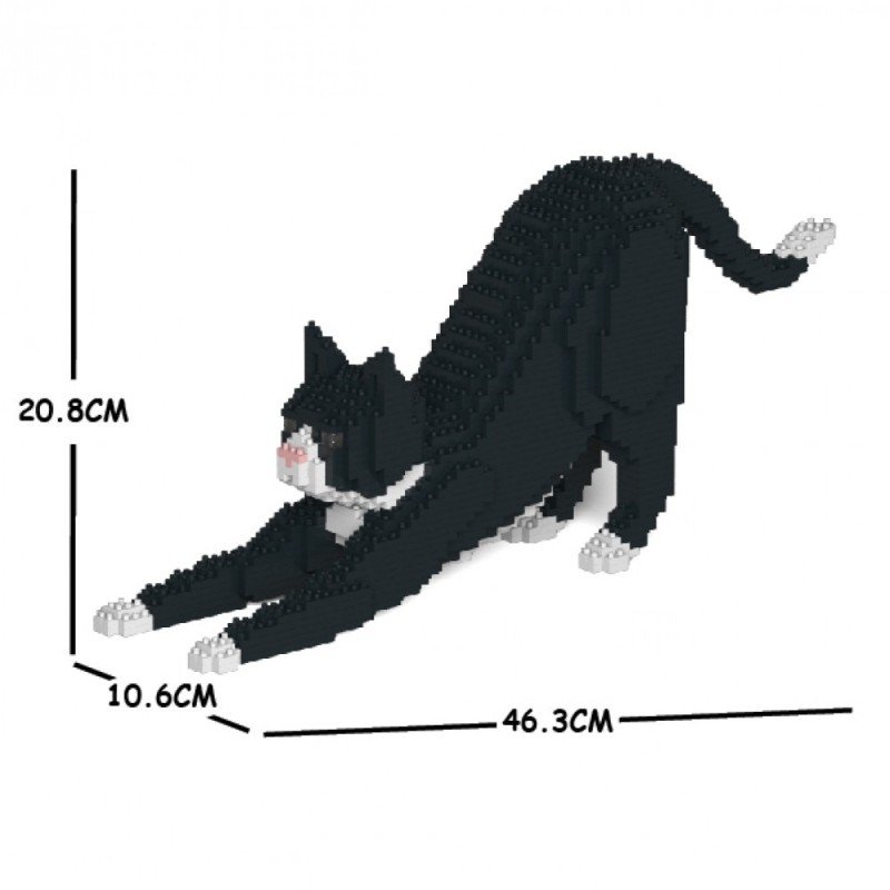 Black Tuxedo Cat