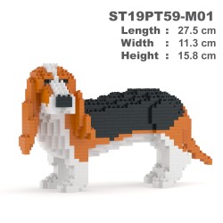 Ginger Basset Hound dog