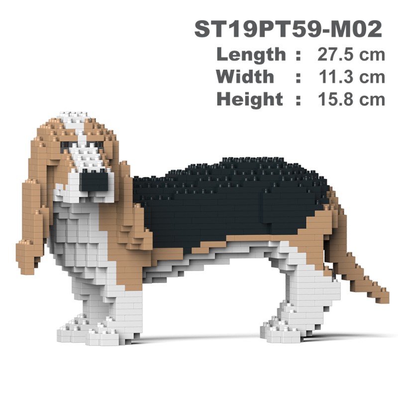 Beige Basset Hound dog