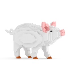 Pig