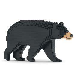 Black bear