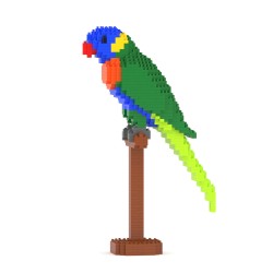 Rainbow lorikeet