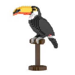 Toco Toucan