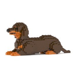 Brown and Tan Coated Dachshund Dog