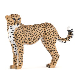 Guépard