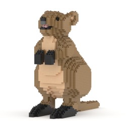 Quokka