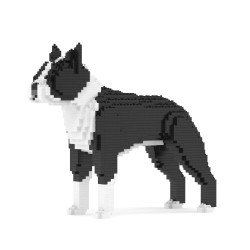 Chien Boston Terrier noir