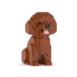 Mini Caniche