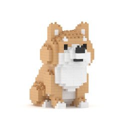 Mini shiba