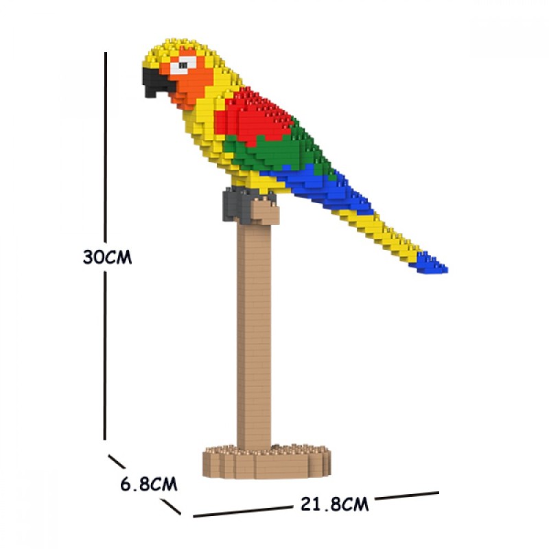 Sun Conure