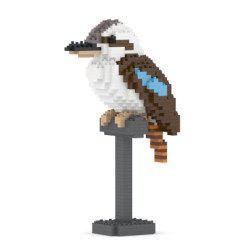 Kookaburra à queue brune