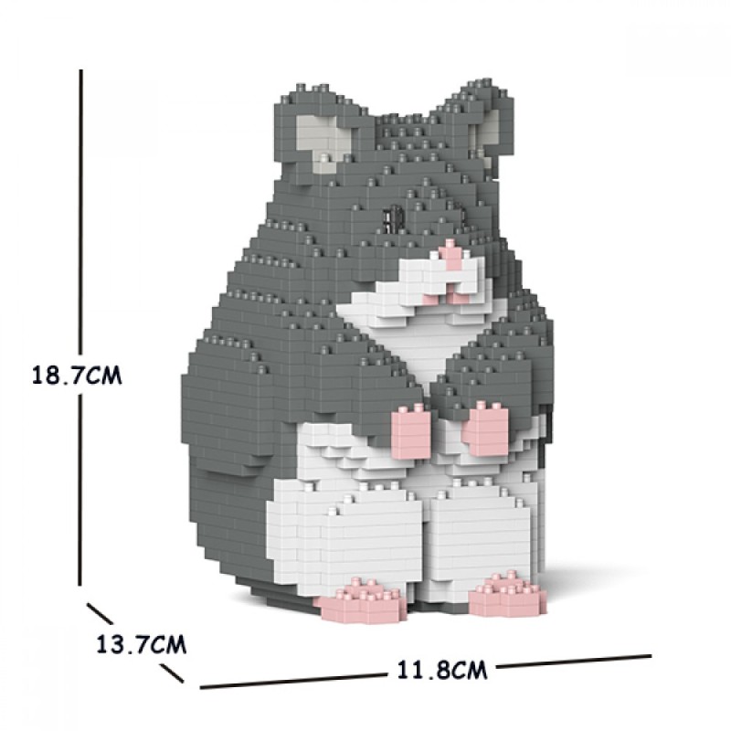 Gray hamster standing