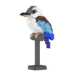 Kookaburra à queue violette