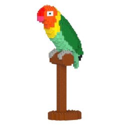 Oiseau de l'amour