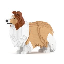 Chien Berger des Shetland fauve