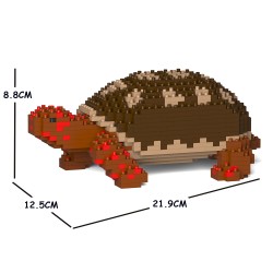 Red-footed tortoise